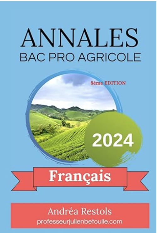 Annales bac pro français