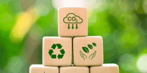 Développement durable